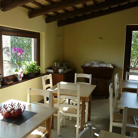 Bed & Breakfast La Cjase Di Silva *